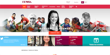 FEMSA screenshot